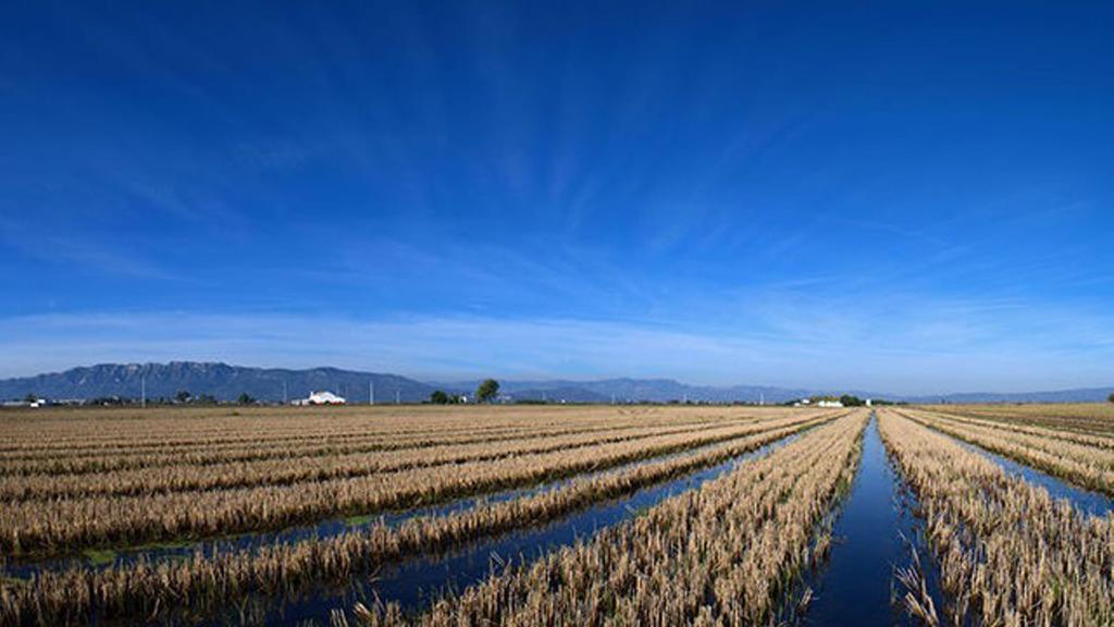 Mi Apartamento en el Delta del Ebro Deltebre Exterior foto